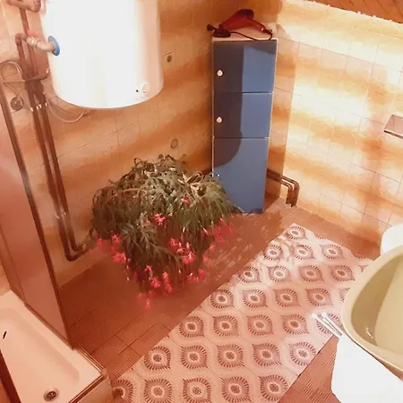 Apartment Vinara *